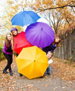 Umbrella